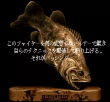 Image n° 1 - screenshots  : Super Black Bass 2